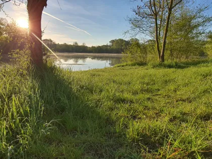 Rottersdorfer Weiher