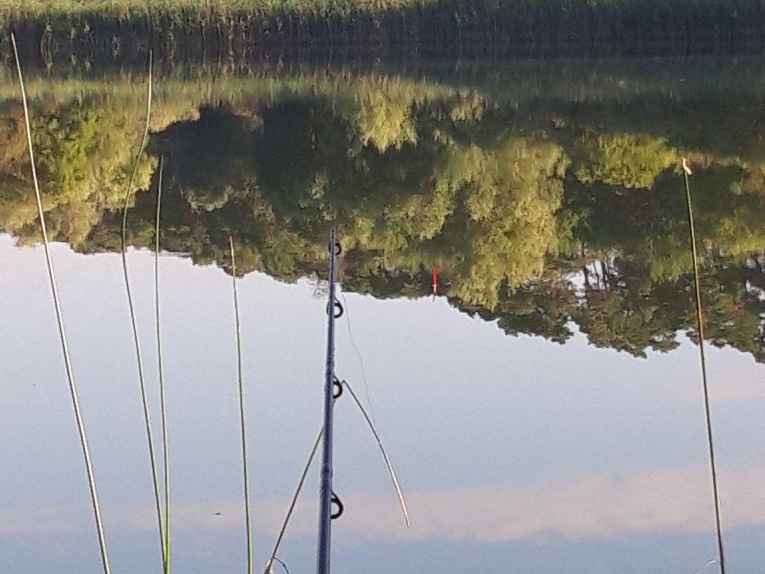 Dorfsee Flemsdorf angeln