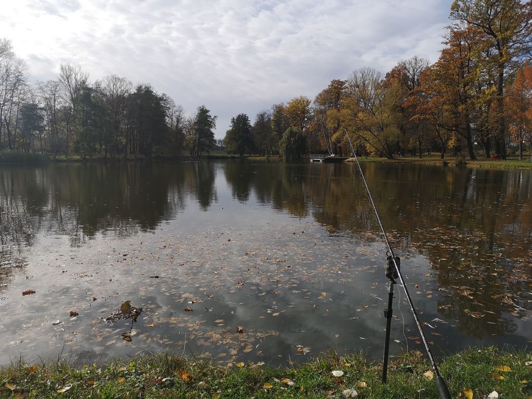 Friedensteich (Apolda) angeln