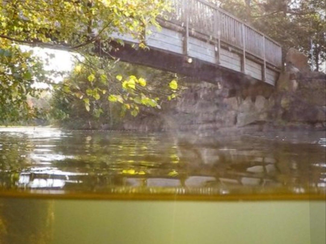 Torfmoorsee (Hörstel) angeln