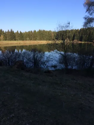 Zankwieser Teich
