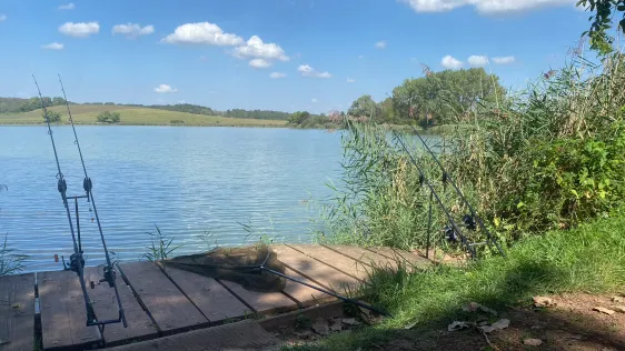 Étang du Moulin (Vergaville)