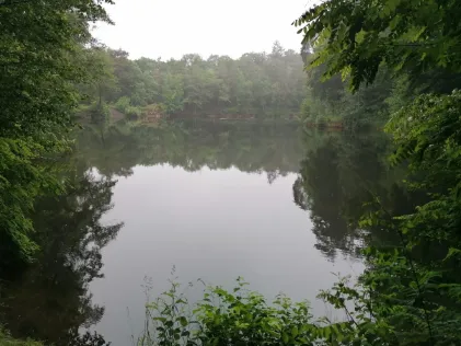 Waldsteinbruch Hundisburg