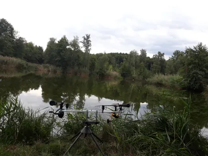 Forstteich Schmorkau