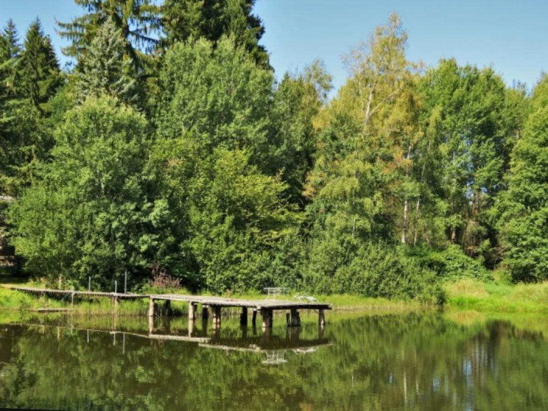 Teich am Forsthaus (Uhlenstein) ALLE ANGELN