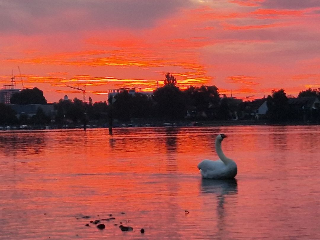 Angeln in Stockach