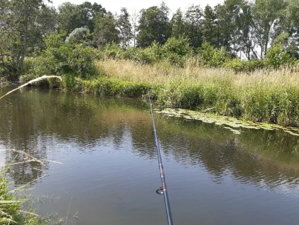Axtbach (Beelen)