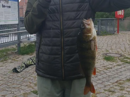 Havel (Rathenow)