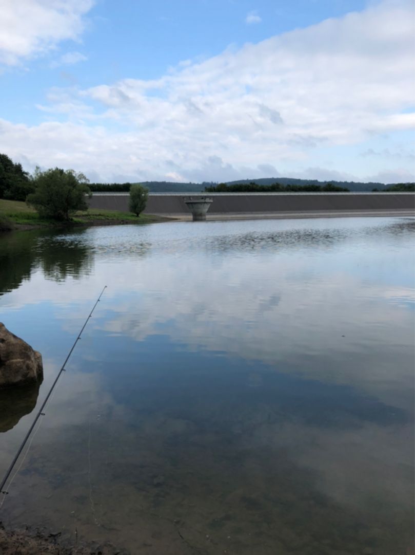 Nidda-Stausee angeln