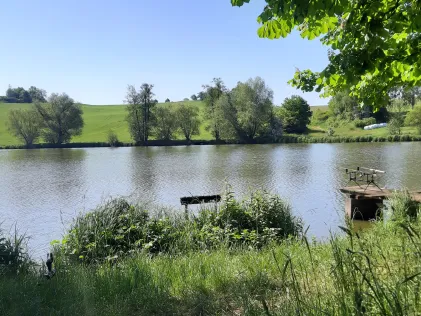 Zipfelteich (Görkwitz)