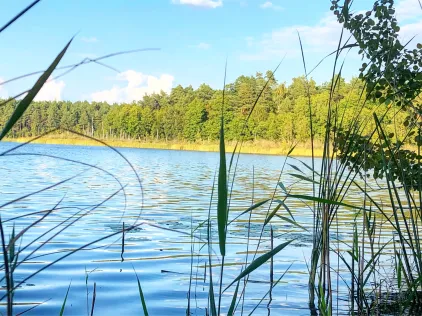 Kölpinsee (Rheinsberg)