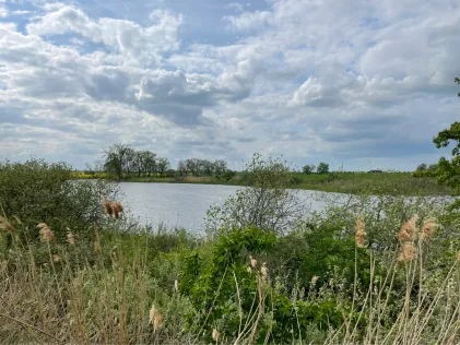 Glambecksee (Gramzow)
