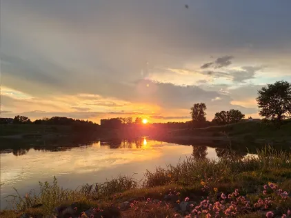 Elbe (Torgau)