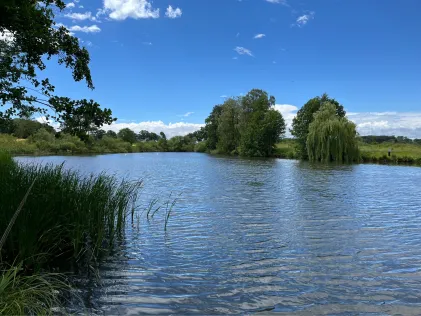 Am Gölm