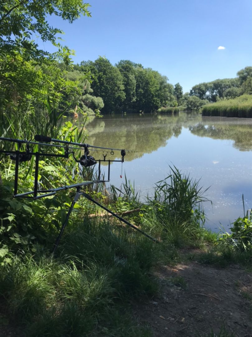 Krautteich (Wölkau) angeln