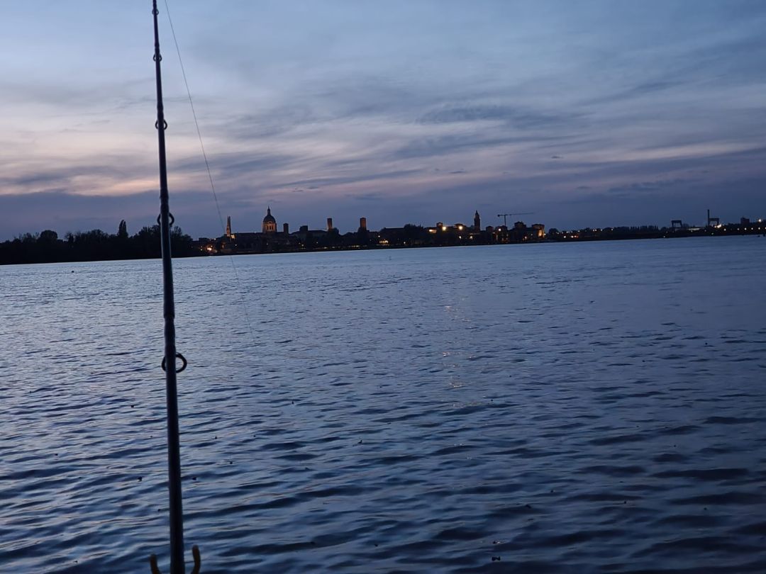 Lago di Mezzo (Mantua) angeln