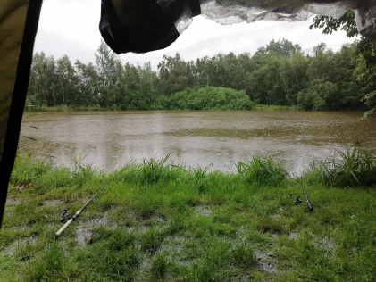 Weickelsdorfer Teich