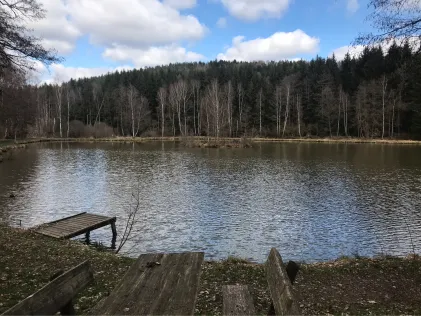Egloffsteiner Weiher