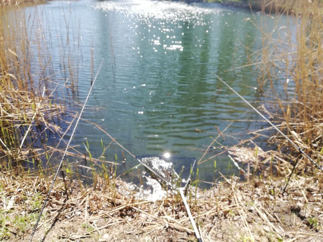 Schäferteich (Stedten) angeln