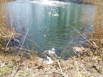 Schäferteich (Stedten)