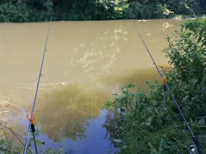 Nidda-Altarm (Frankfurt-Bonames)