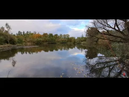 Lundener Moorteiche