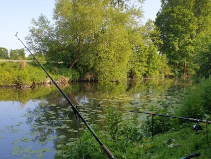 Werse (Handorf)