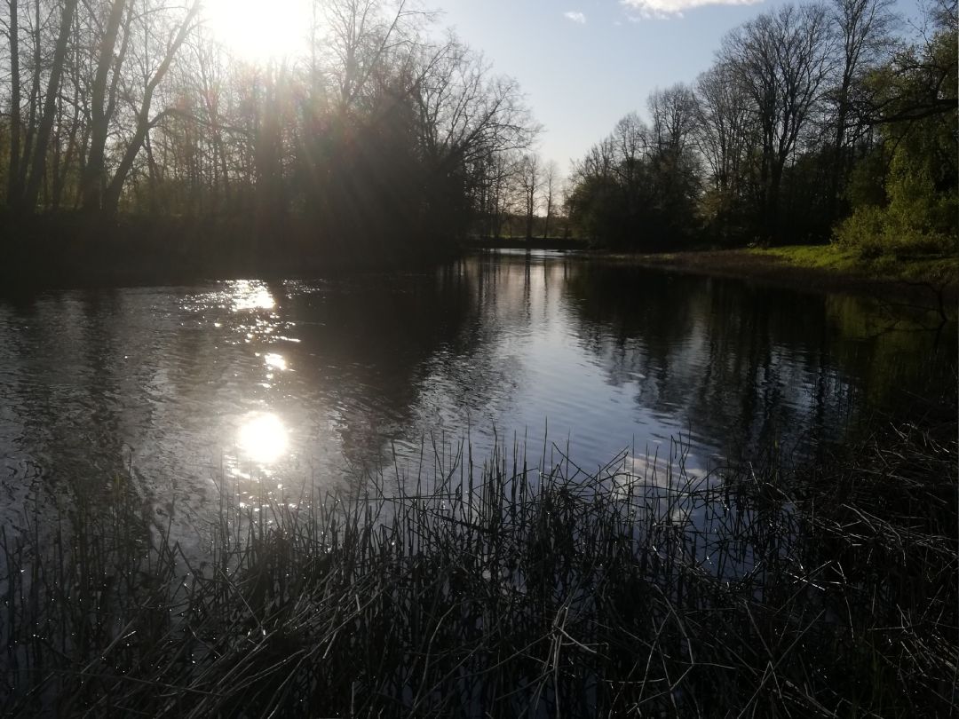 Raudna jögi angeln
