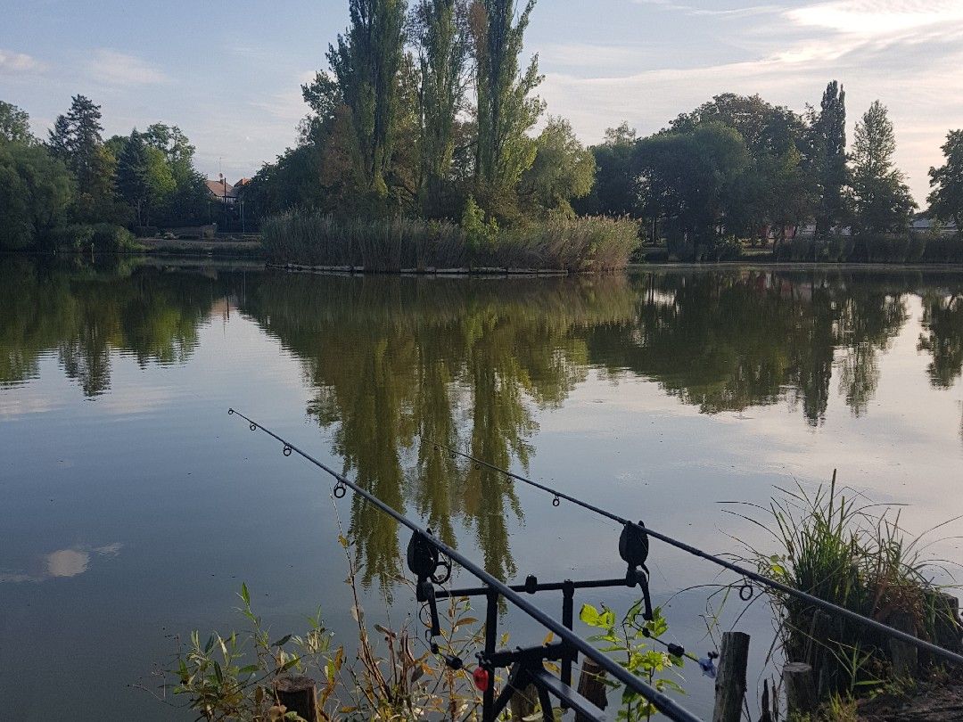 Leipziger Teich (Zörbig) angeln