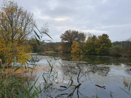 Tiefe Lache (Seegrehna)