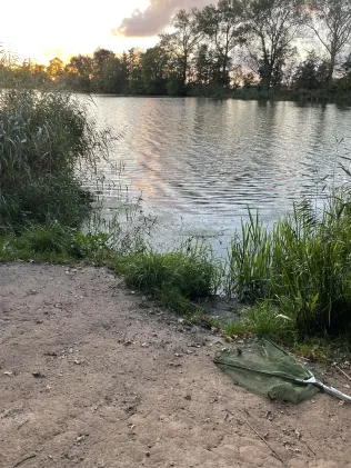 Alte Aller (Etelsen)