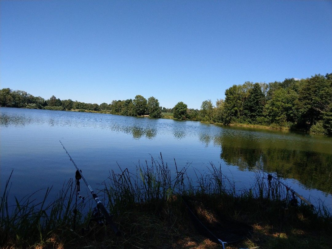 Stefflsee (Cham) angeln