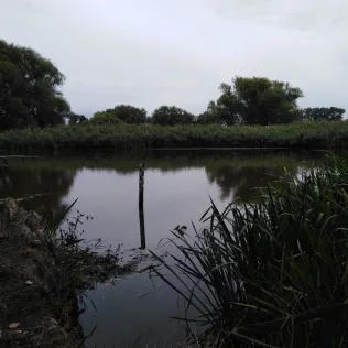 Färberwerder/Melzerwasser (Mörtitz)