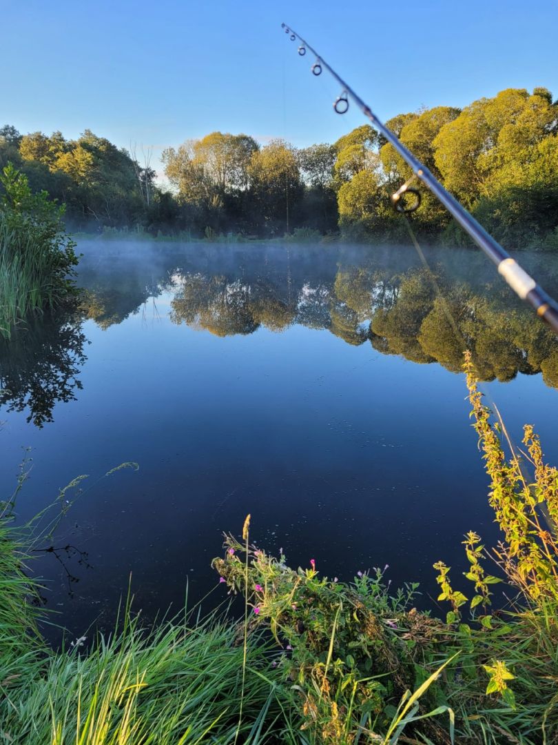 Skovhave Fiskesø angeln