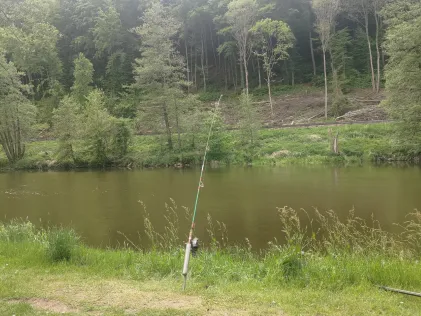 Naab (Pielenhofen)