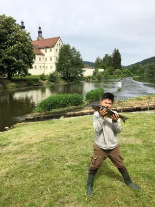 Naab (Pielenhofen)