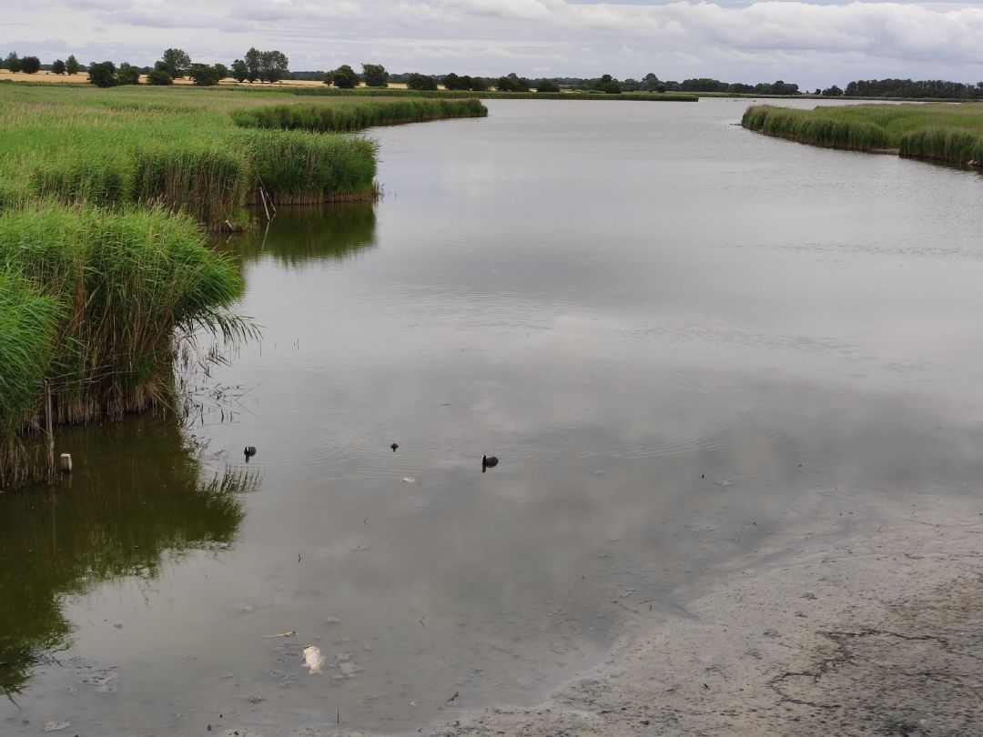 Sahrensdorfer Binnensee (Fehmarn) angeln