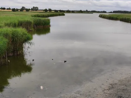 Sahrensdorfer Binnensee (Fehmarn)