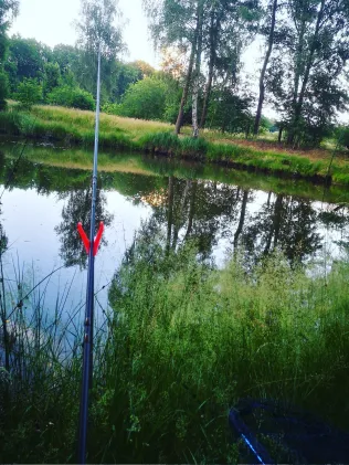 Teich Westerkampsweg