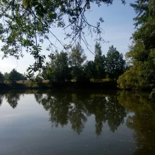 Weisswaldteich (Lugau)