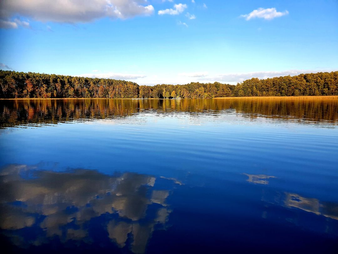 Haussee (Himmelpfort) angeln