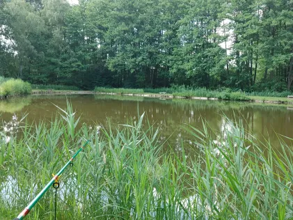 Höffgen Teiche