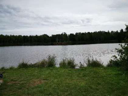 Wunschweiher (Wackersdorf)