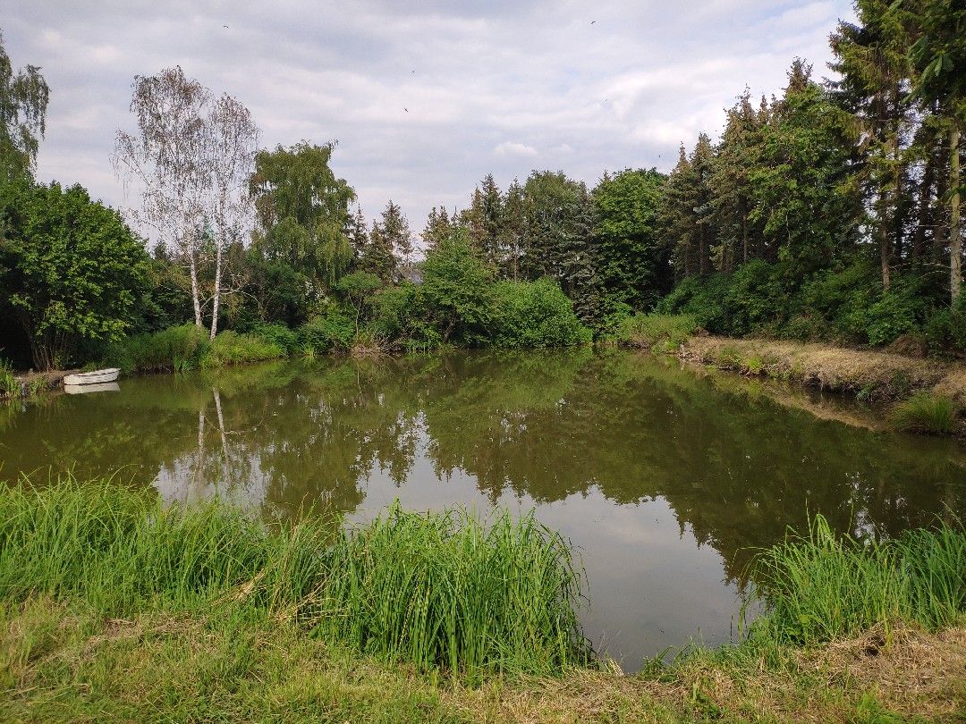 Angeln in Groß Twülpstedt