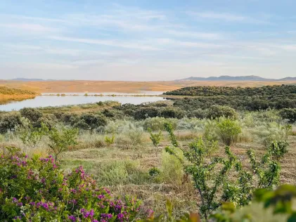 Embalse de Orellana (Badajoz)