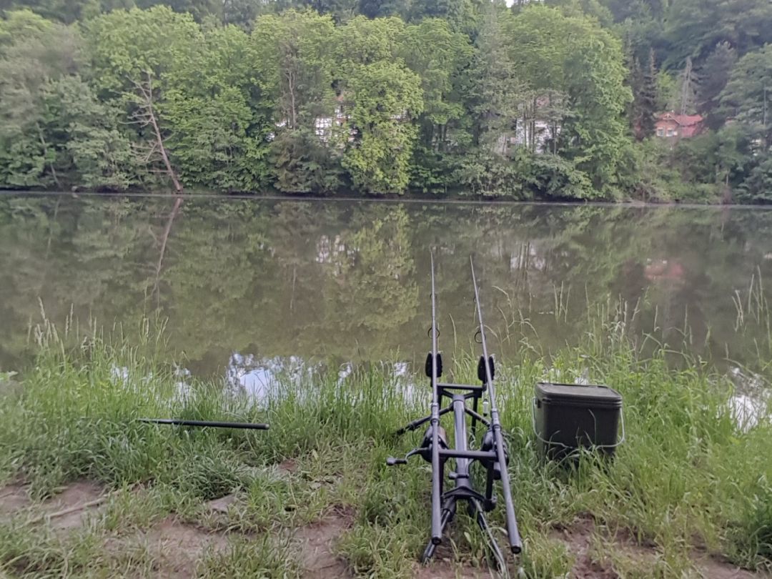 Nidderstausee Hirzenhain angeln