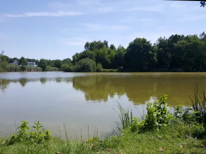 Waldsee (Lehre)
