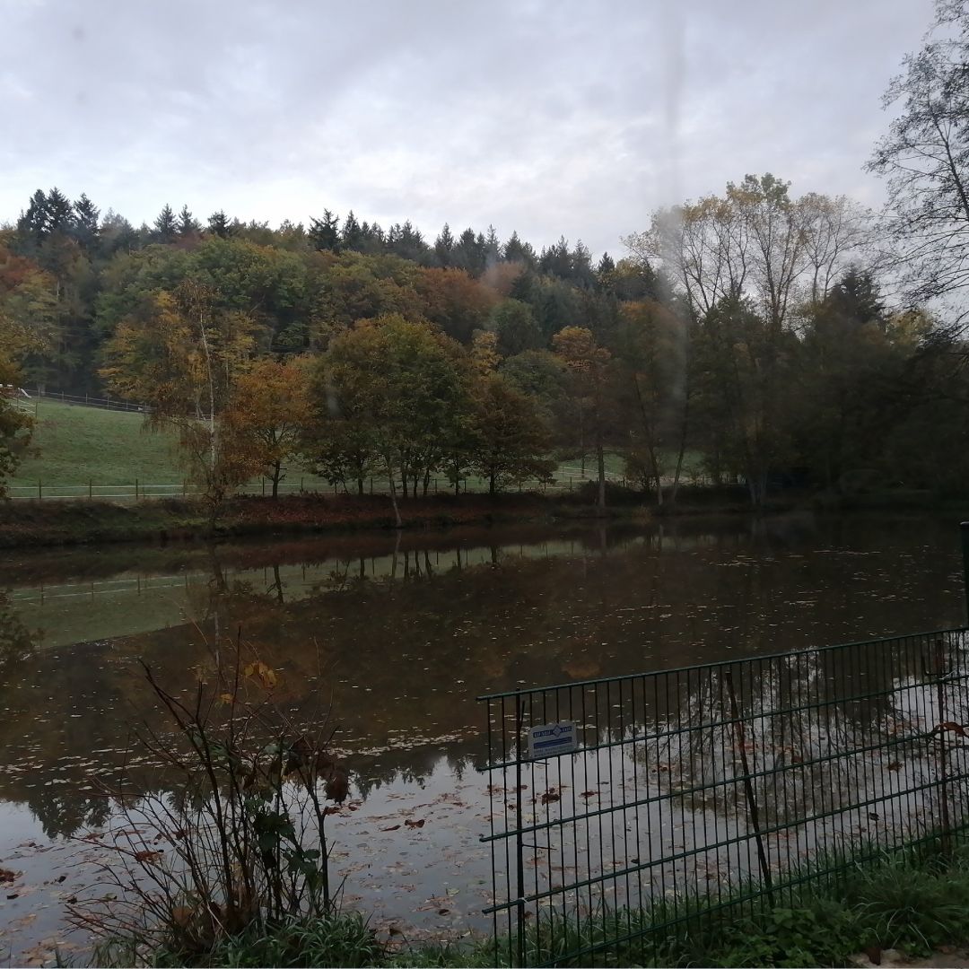 Sandhöfe Büdingen angeln