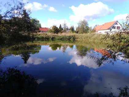 Dorfteich Dölbau