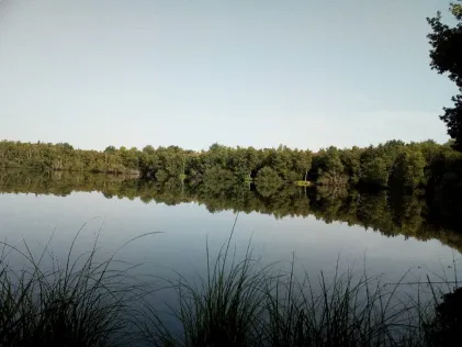 Teich an den Türmen (Westermoor)